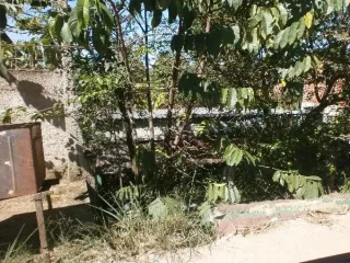 Imagem do imóvel CA01124