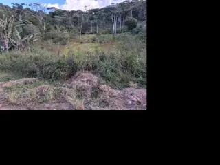 Imagem do imóvel TE59736