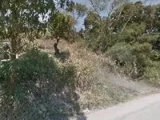 Imagem do imóvel TE79809