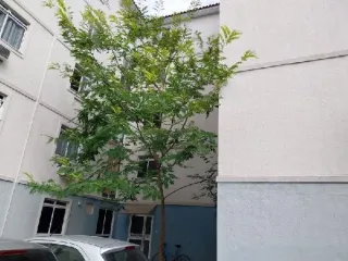 Imagem do imóvel AP57734