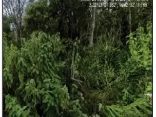 Imagem do imóvel TE23138