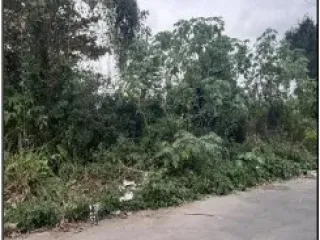Imagem do imóvel TE72377