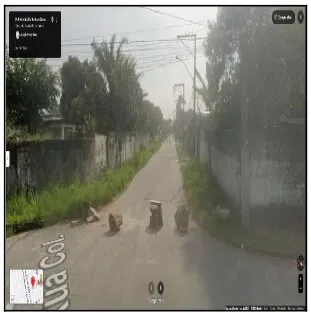 Imagem do imóvel CA88664