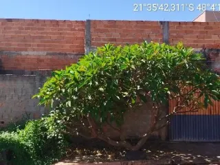 Imagem do imóvel AP49909