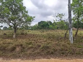 Imagem do imóvel TE88532