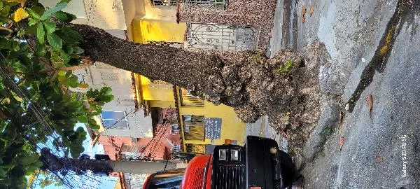 Imagem do imóvel CA91863