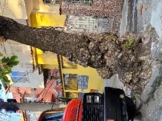Imagem do imóvel CA91863