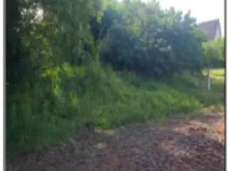 Imagem do imóvel AP79282