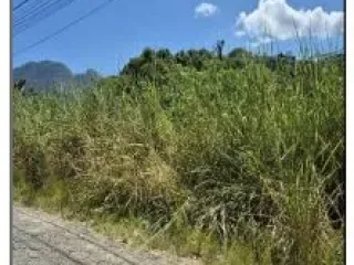Imagem do imóvel TE23251